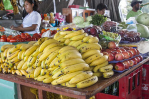 The San Ignacio Market