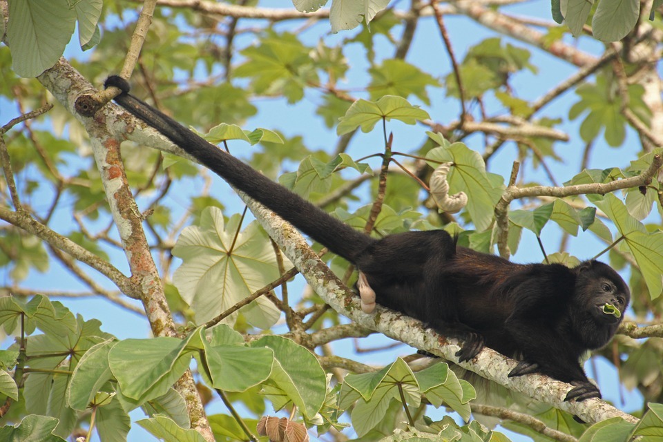 Belize Spring Break