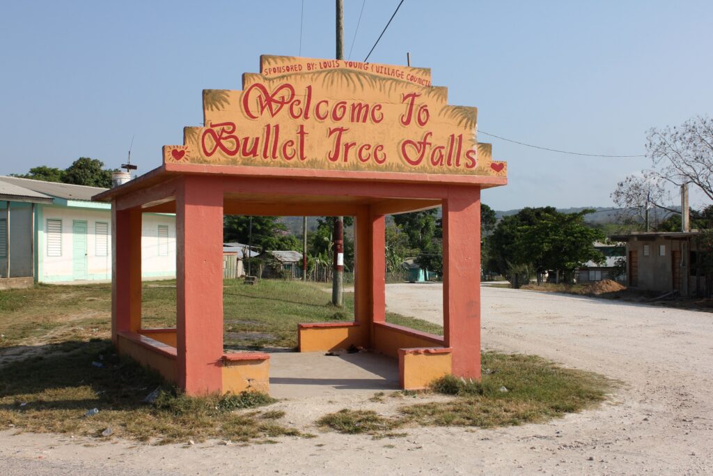 bullet tree belize