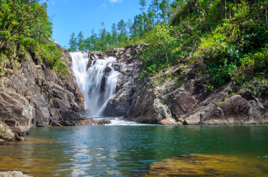 Adventures Amidst the Rainforest