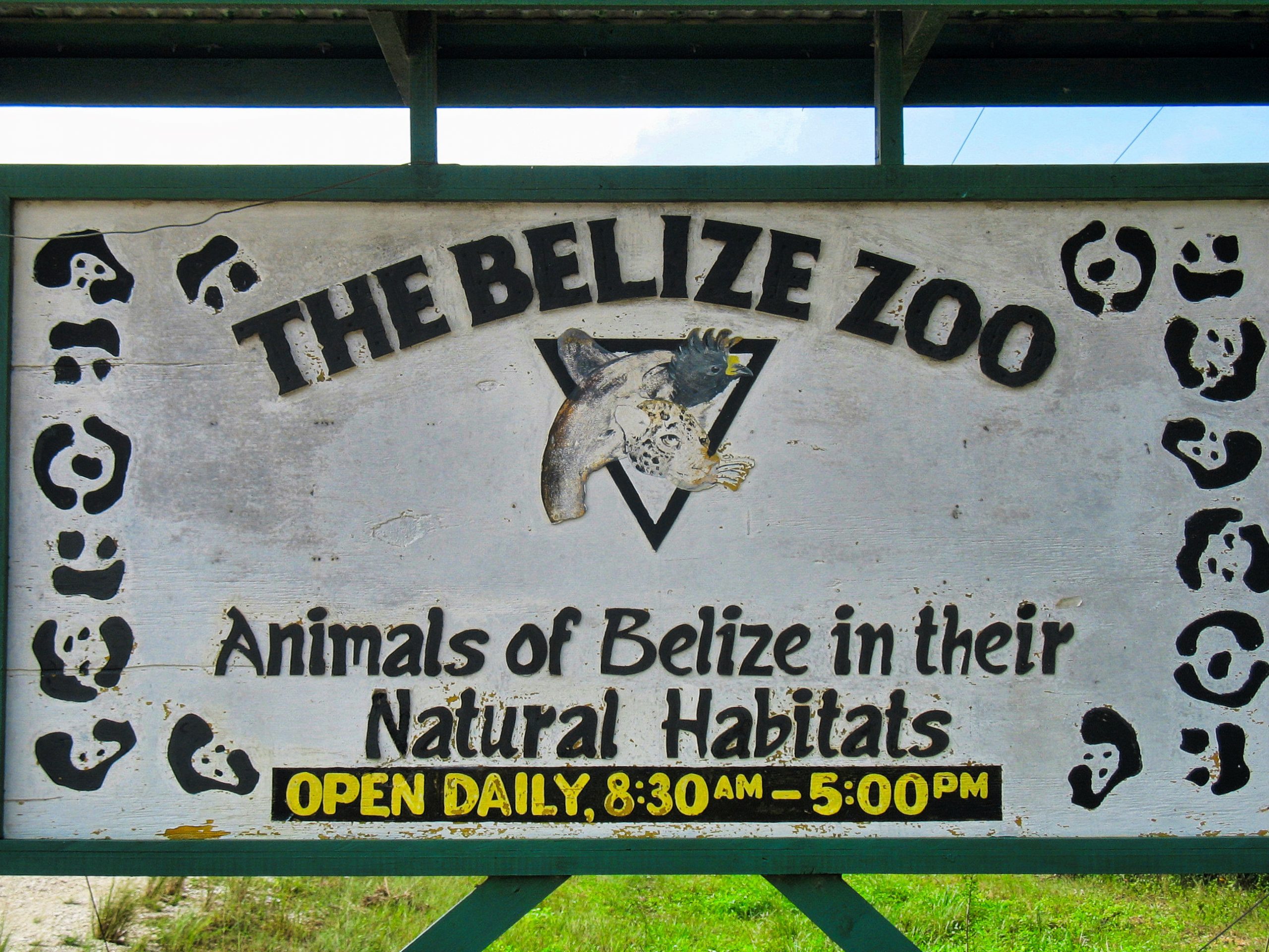 Belize Zoo