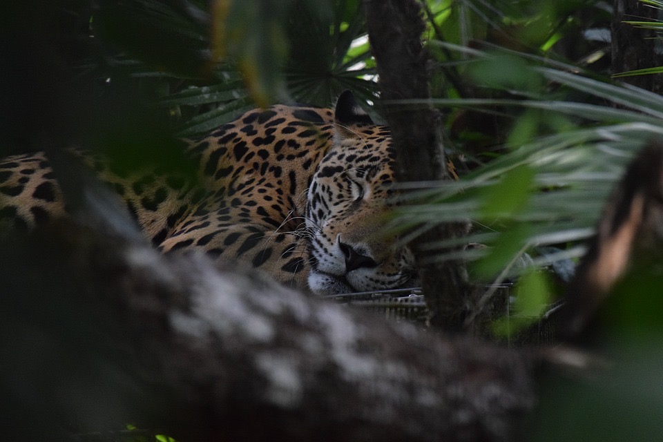 Wildlife Sancturary 