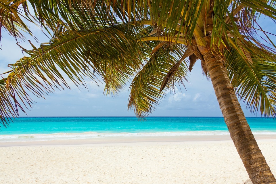 Warm Climates Await