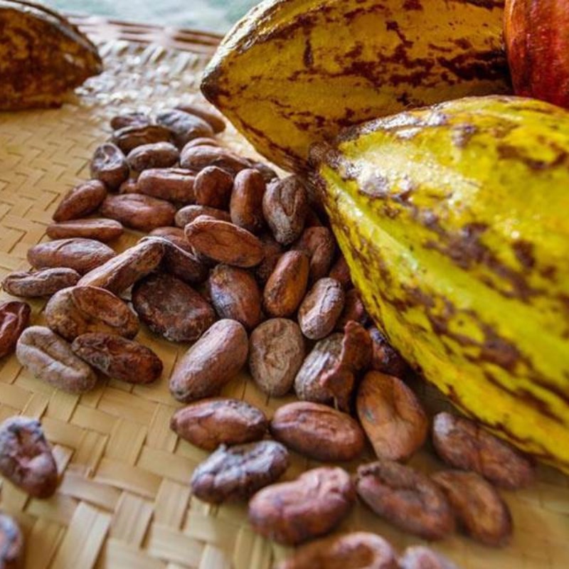 AJAW Chocolate - Belize
