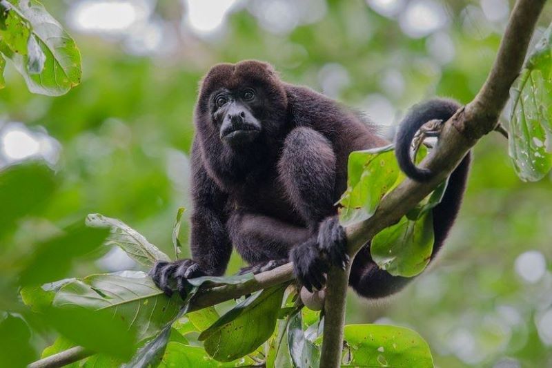 Belize fall tours