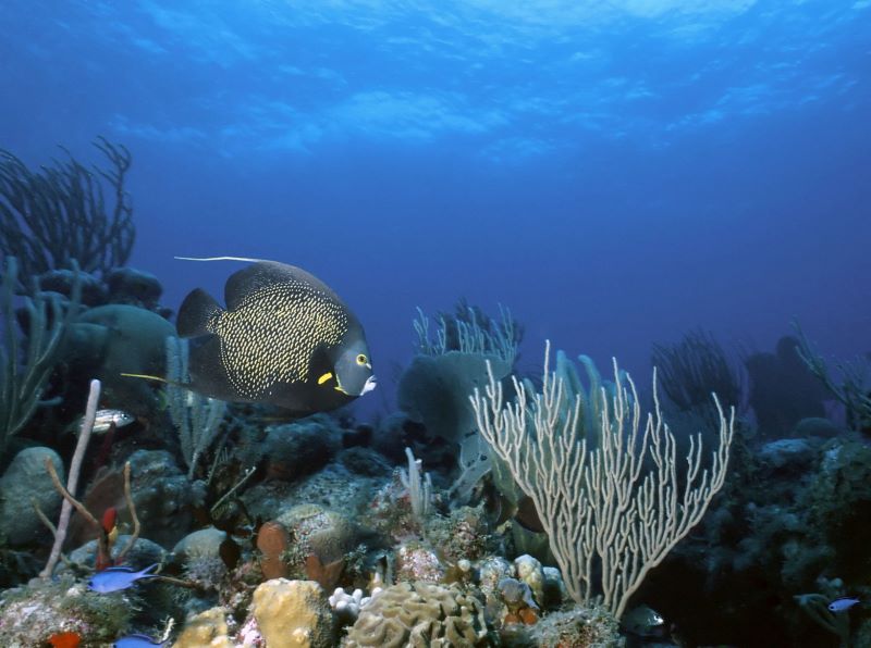  Belize tours November
