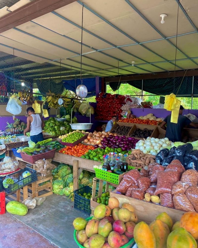  San Ignacio cultural experiences