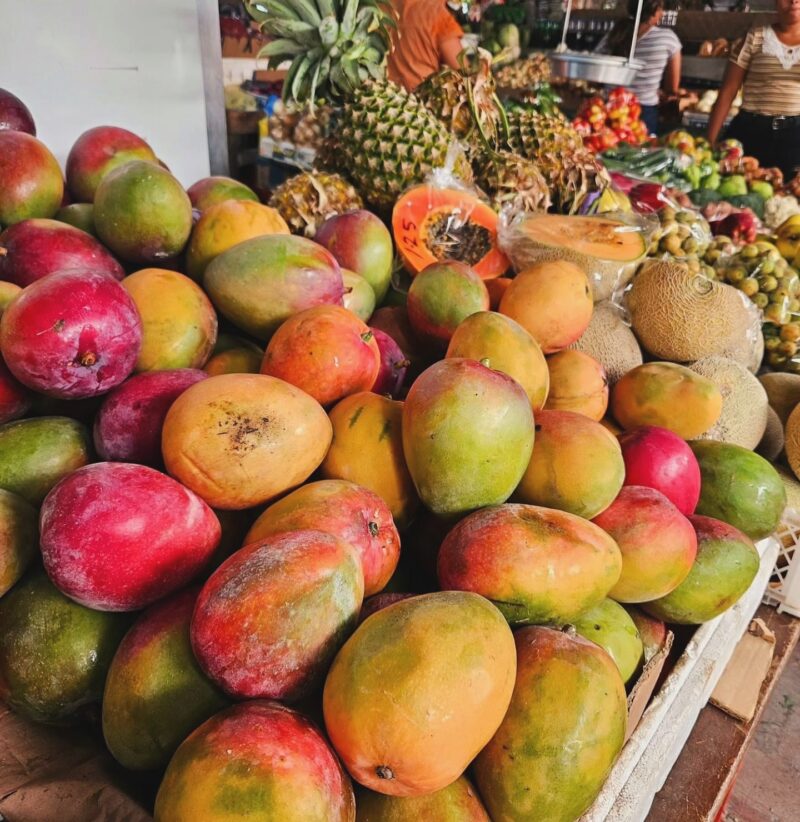 Belize early summer travel