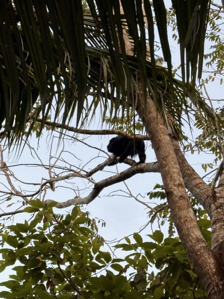 authentic Belize travel