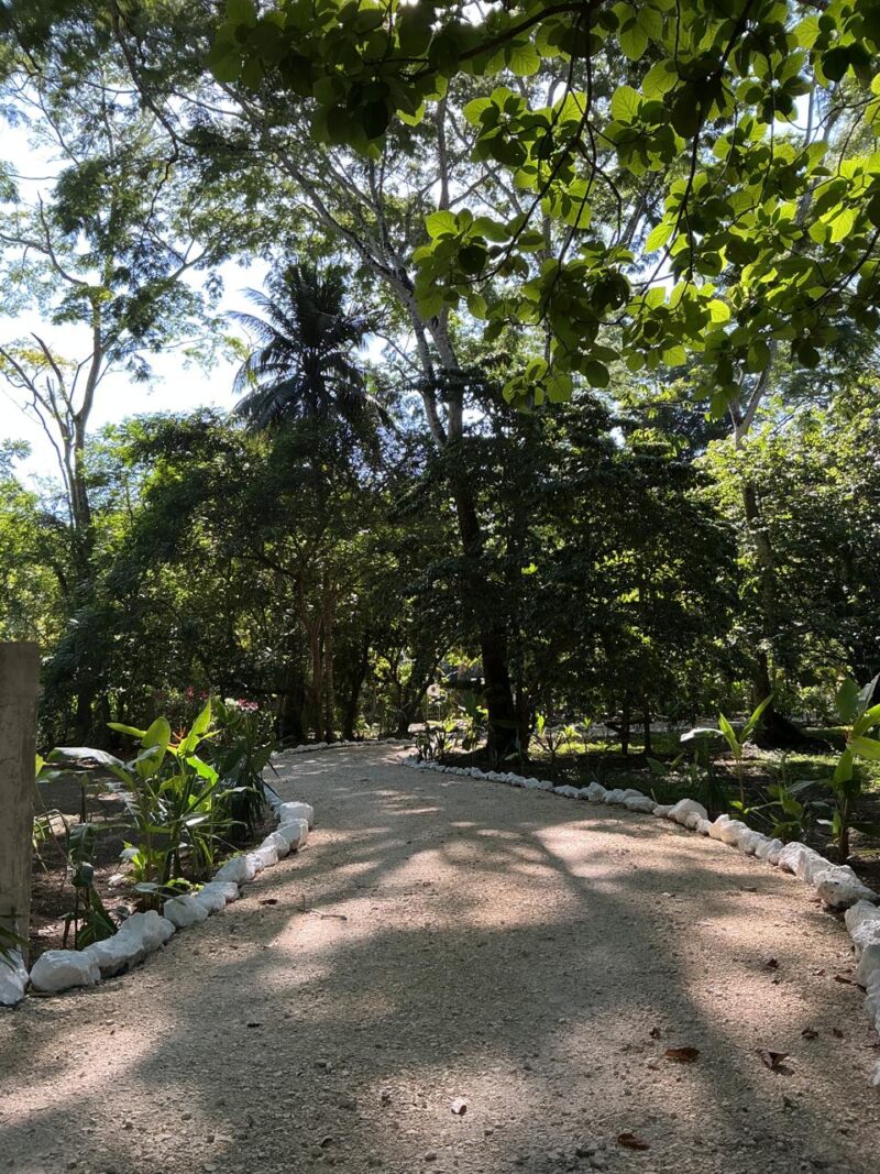 Belize jungle vacation