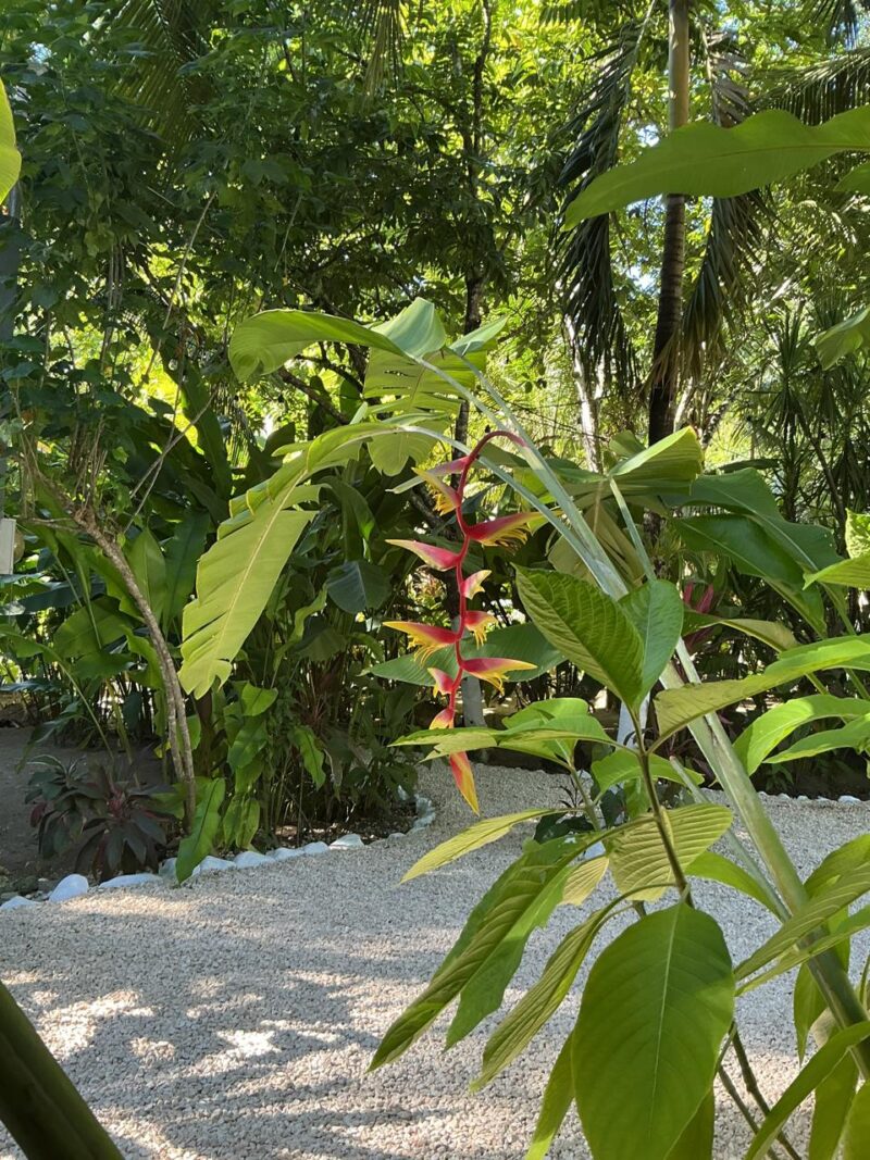 Belize eco resorts all inclusive