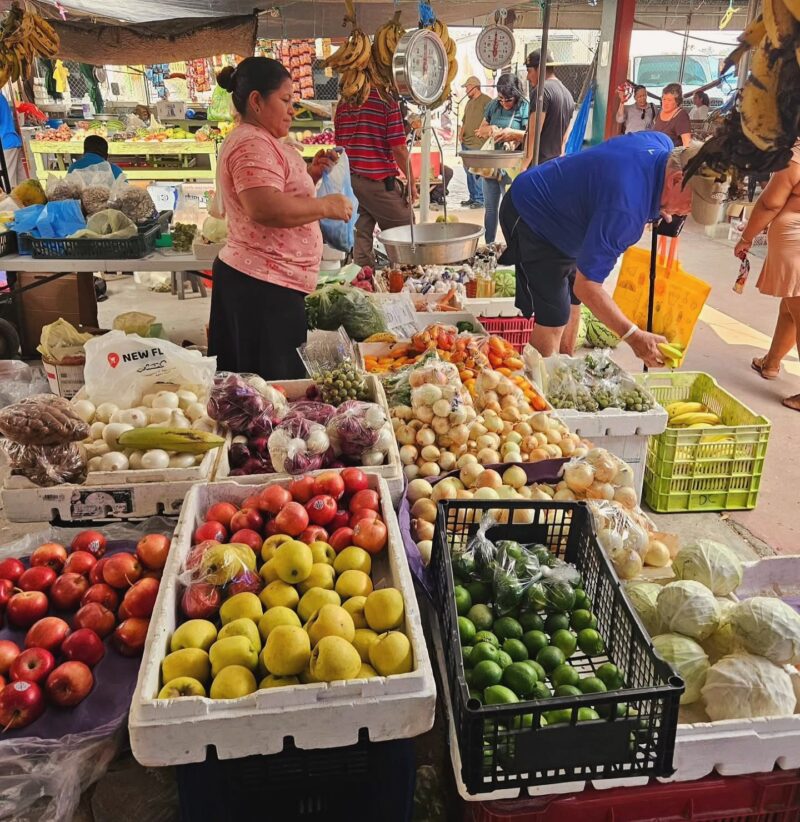 Belize vacation planning 2026