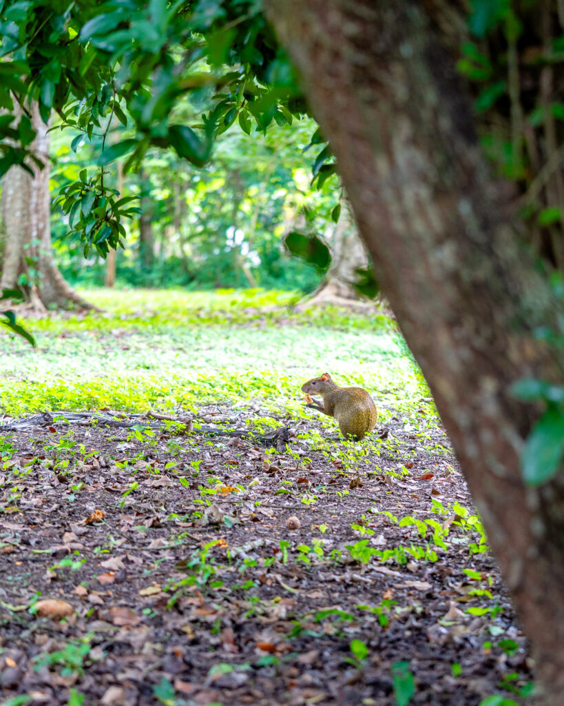 Belize travel May guide