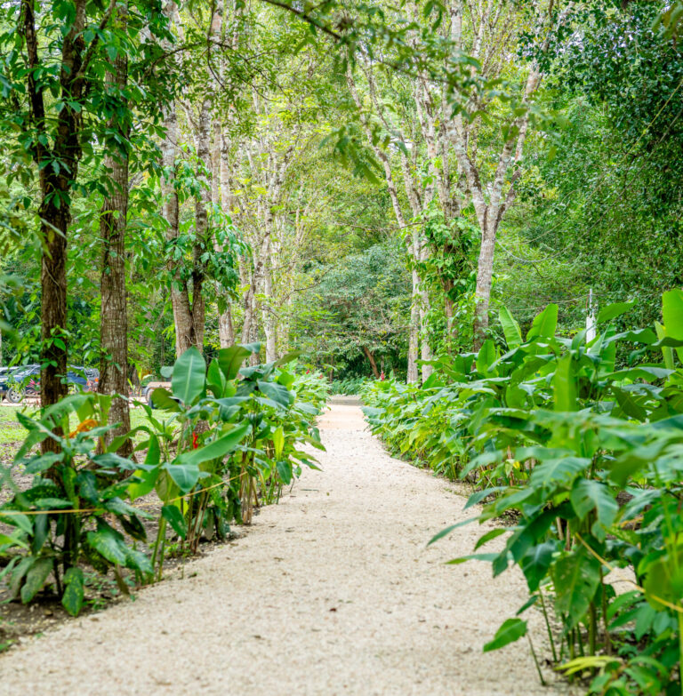 Belize summer travel guide