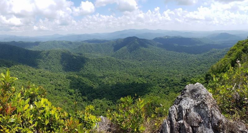  best places to birdwatch in Belize