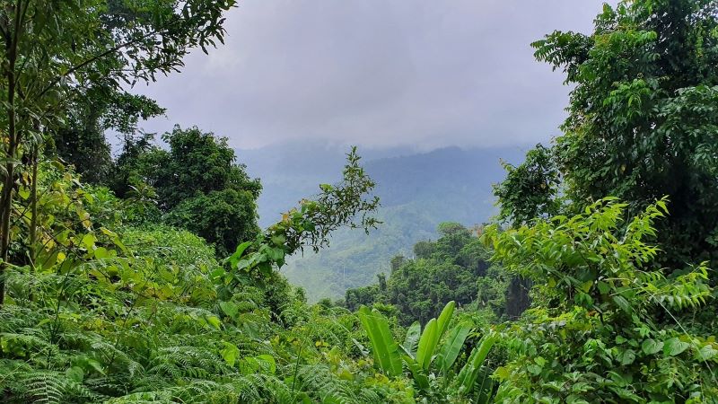 Belize July weather