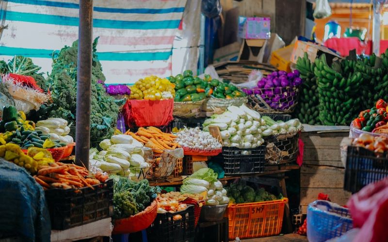 Things to do in Belize in August