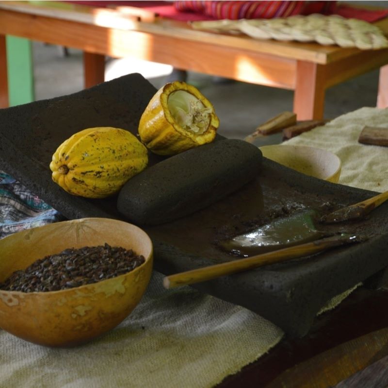 Belize Chocolate Tour