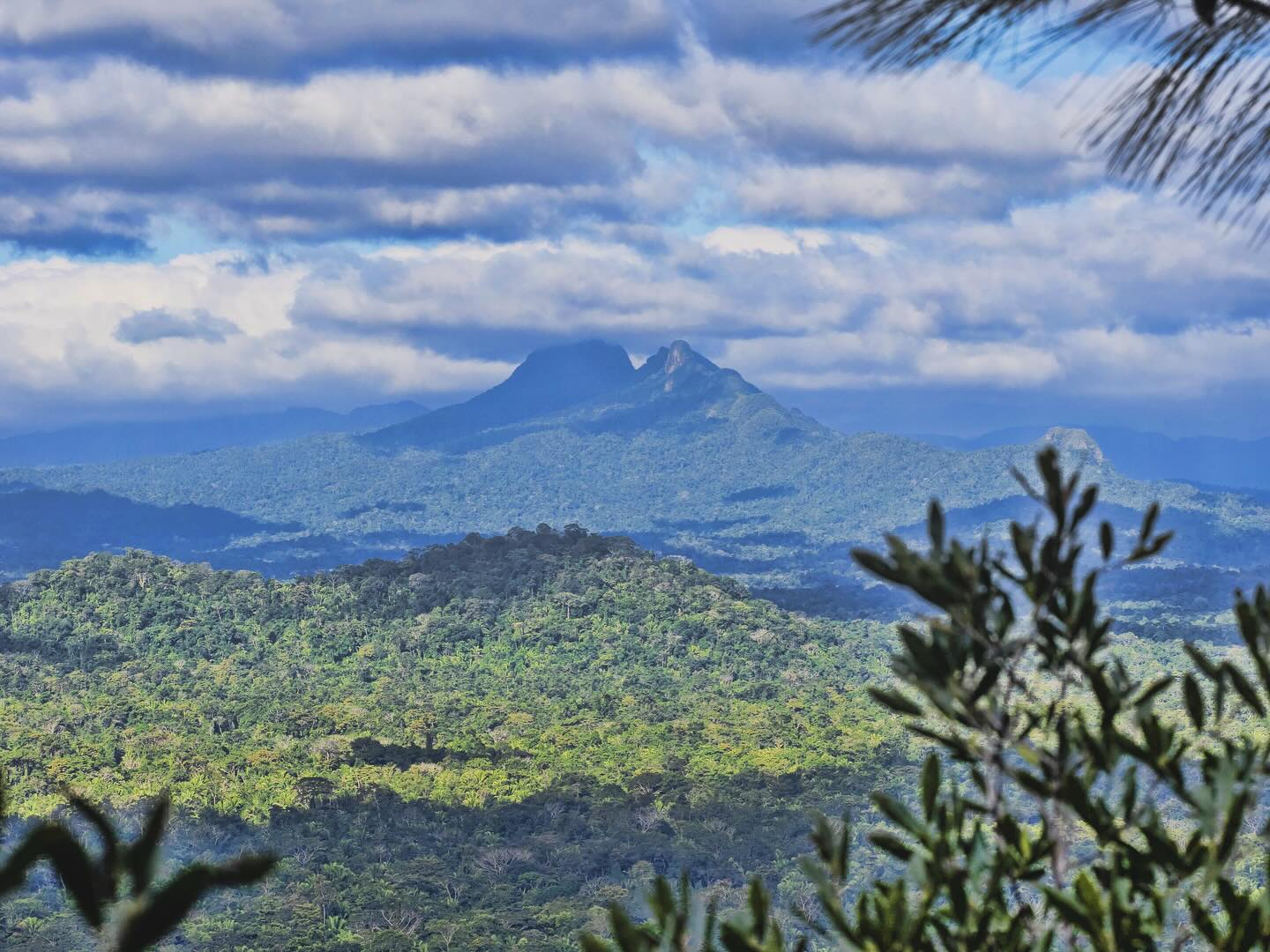 Image from villamassis.com