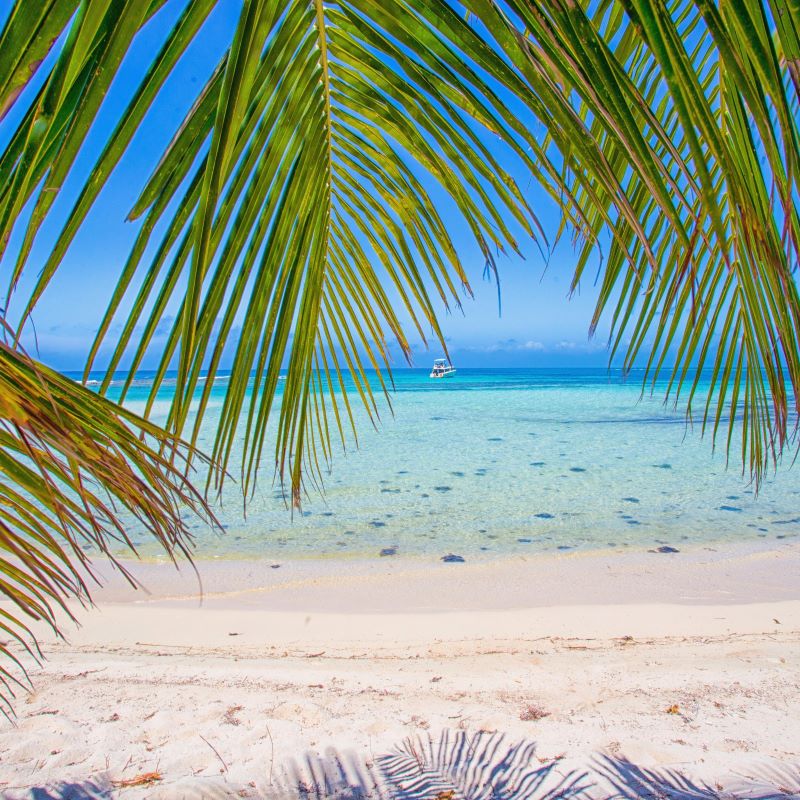 Belize weather December