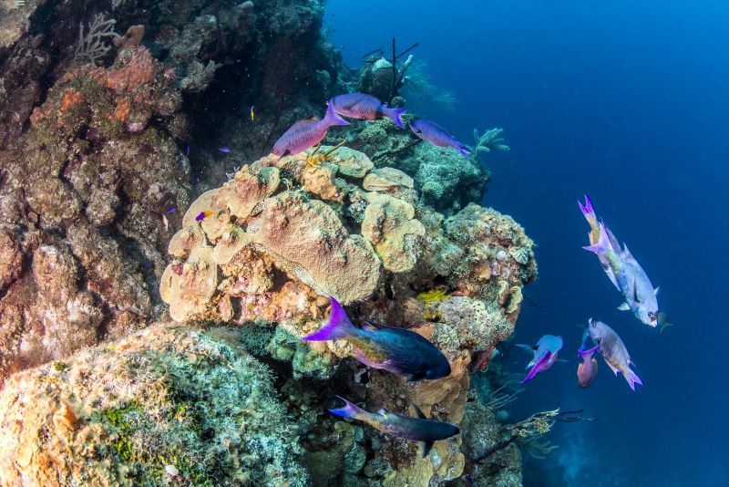 Belize December travel