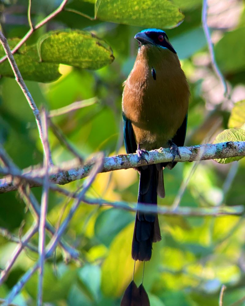 Belize December travel