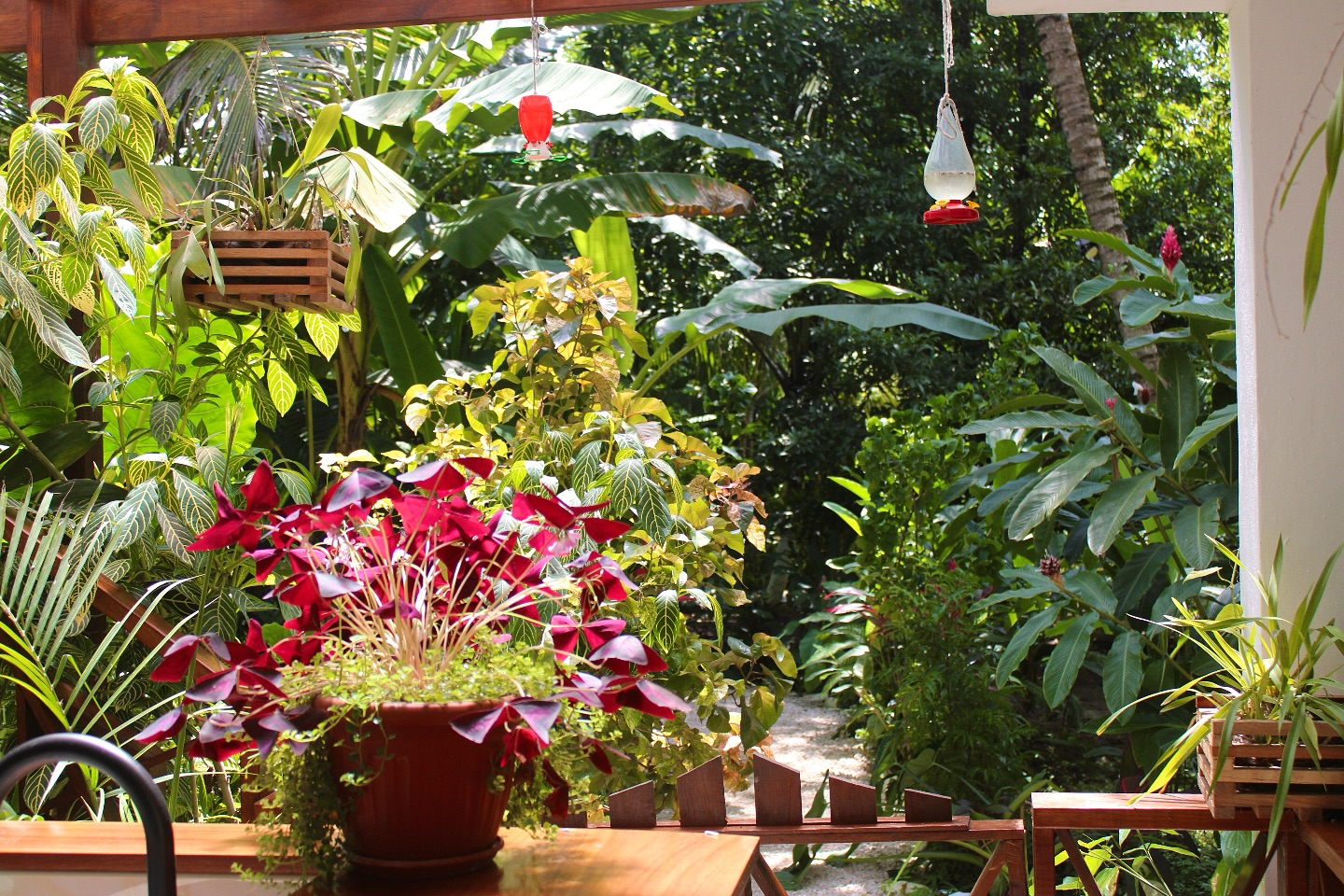 Image from villamassis.com