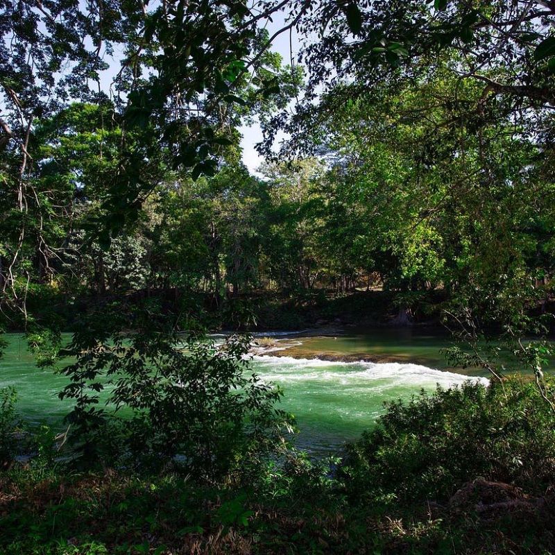  Belize river tours