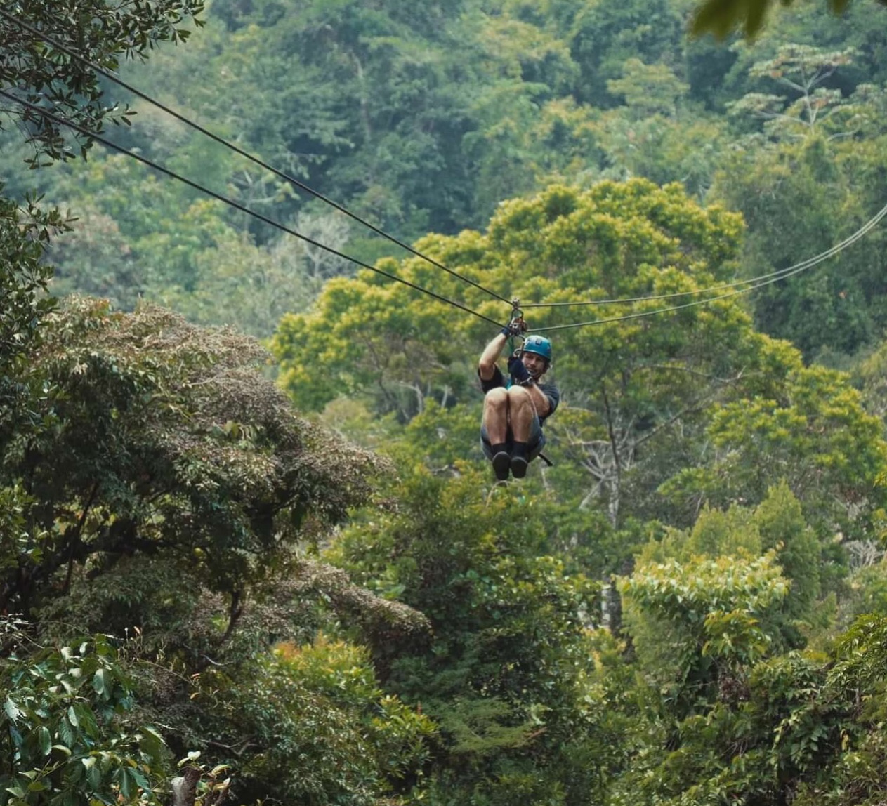 Image from villamassis.com