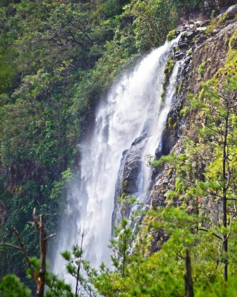 Belize jungle all inclusive resorts