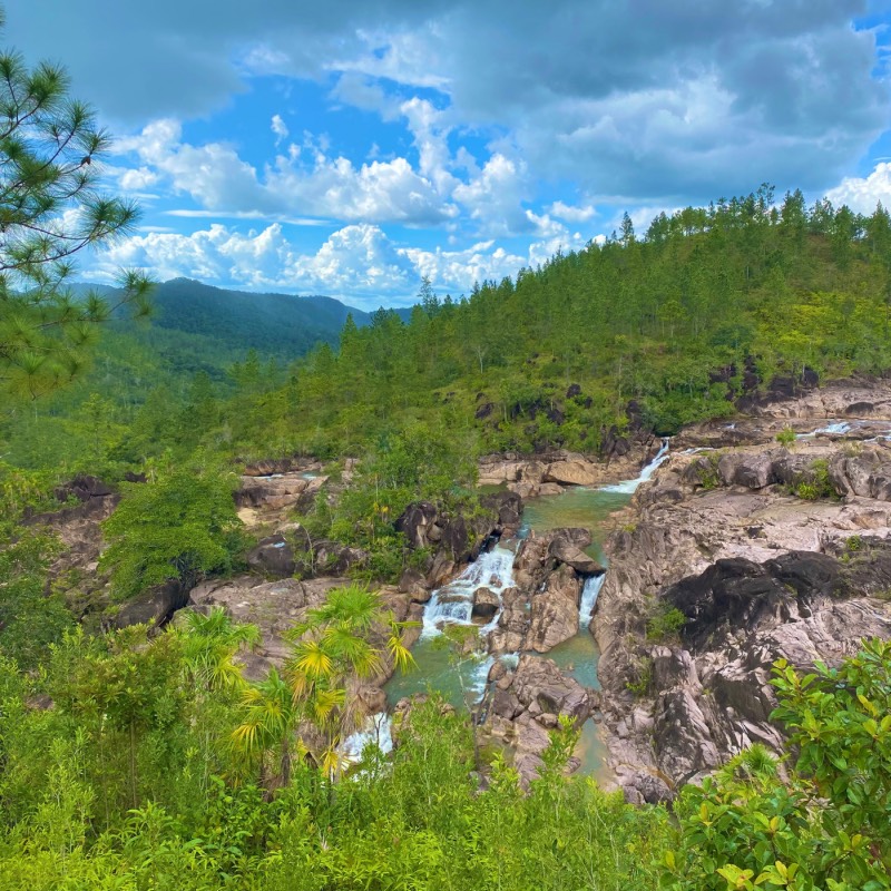 Mountain Pine Ridge
