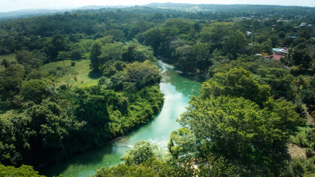 Belize rainforest travel