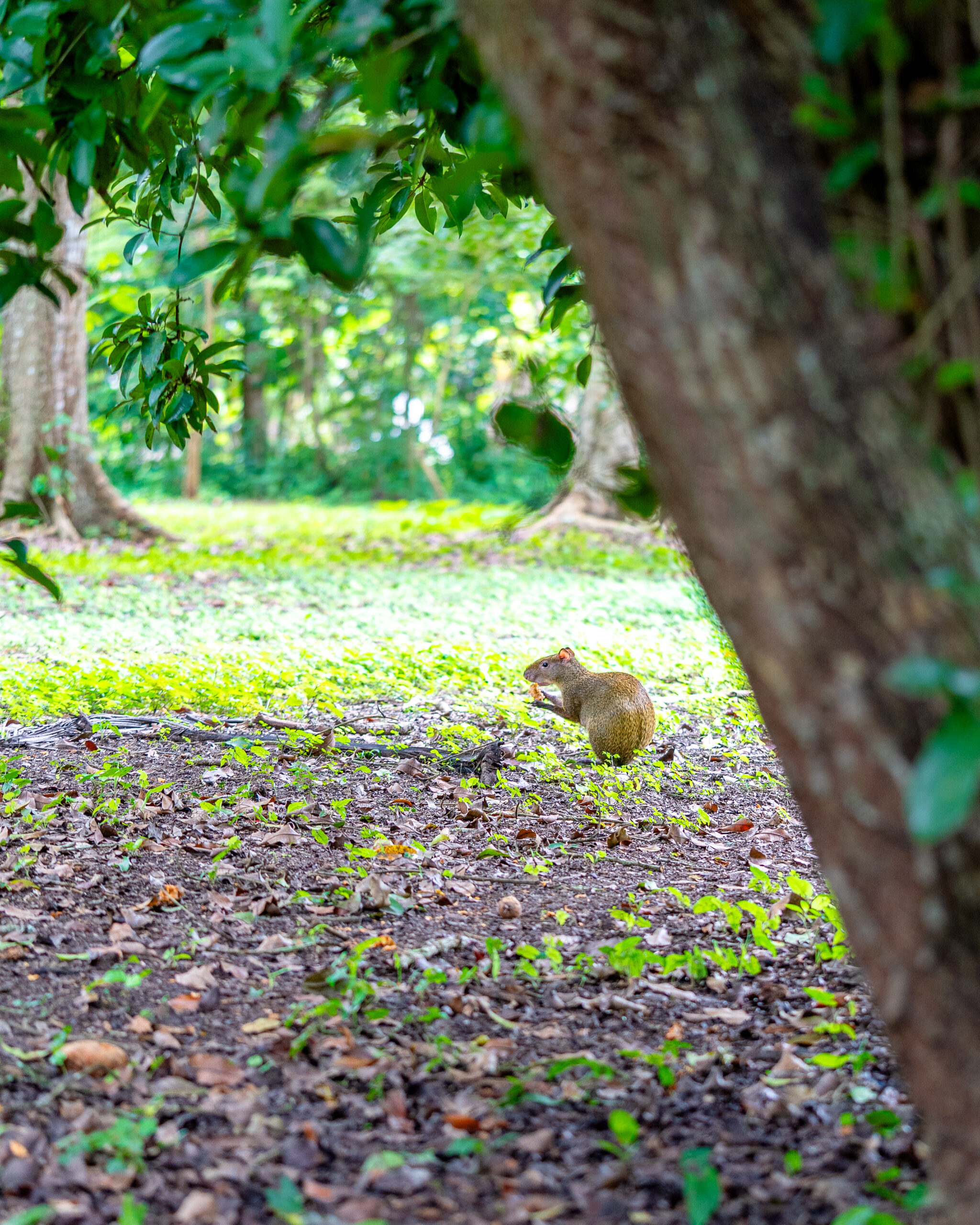 Belize travel May guide