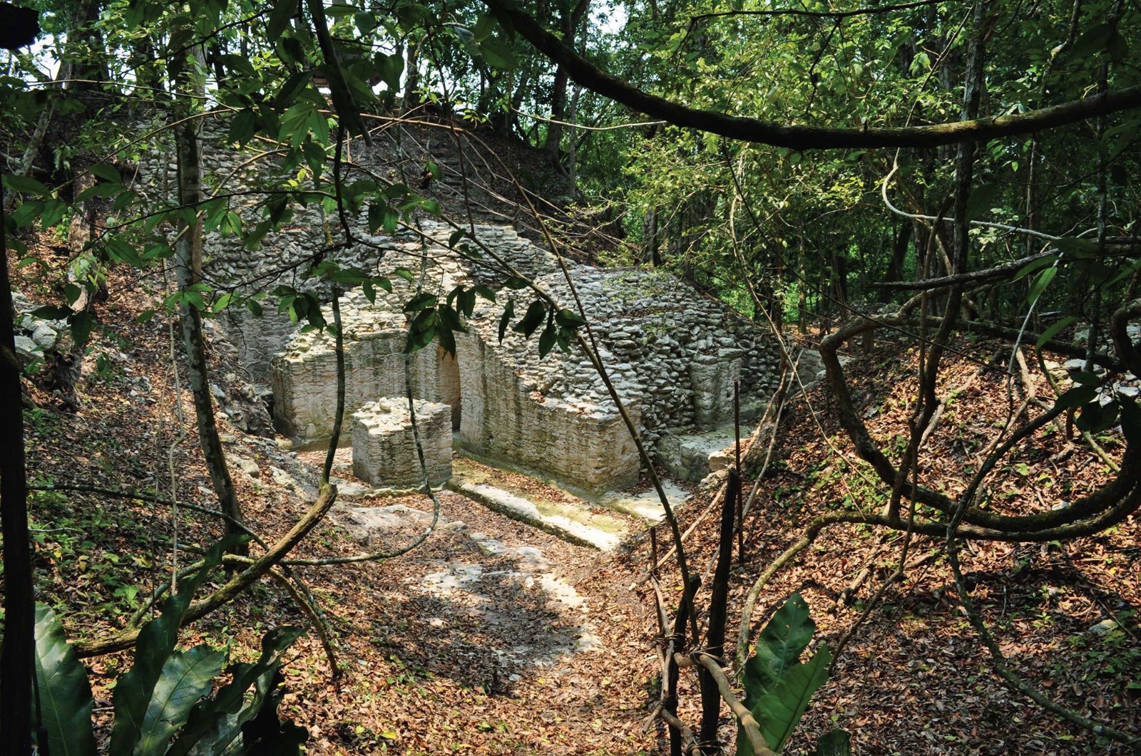 El Pilar Maya Ruins