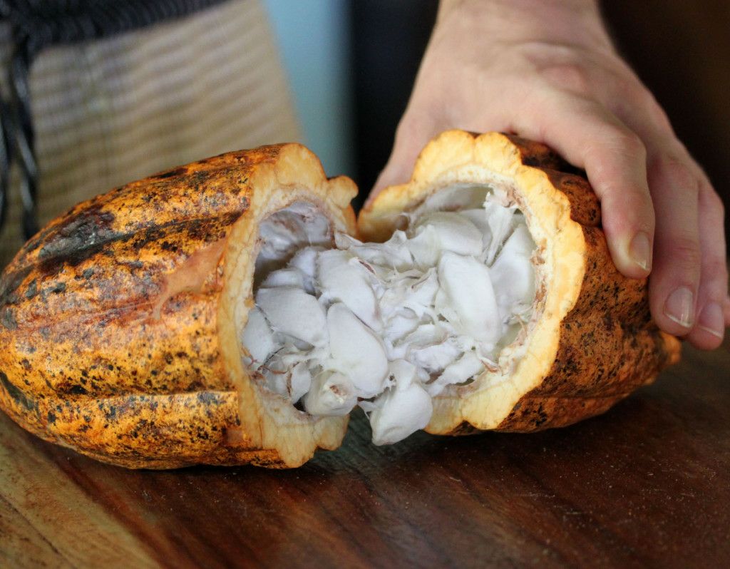 Indulge in a Belize Chocolate Tour in San Ignacio, Belize