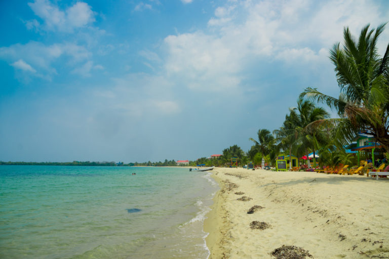 Indulge in the Delights of Belizean Cuisine