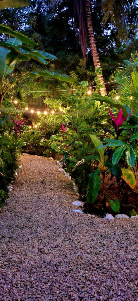 things to do in Belize at night