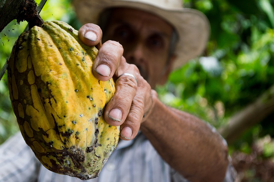 belize chocolate