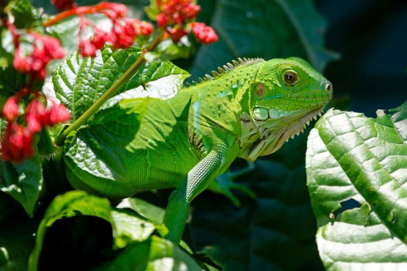 unique things to do in Belize