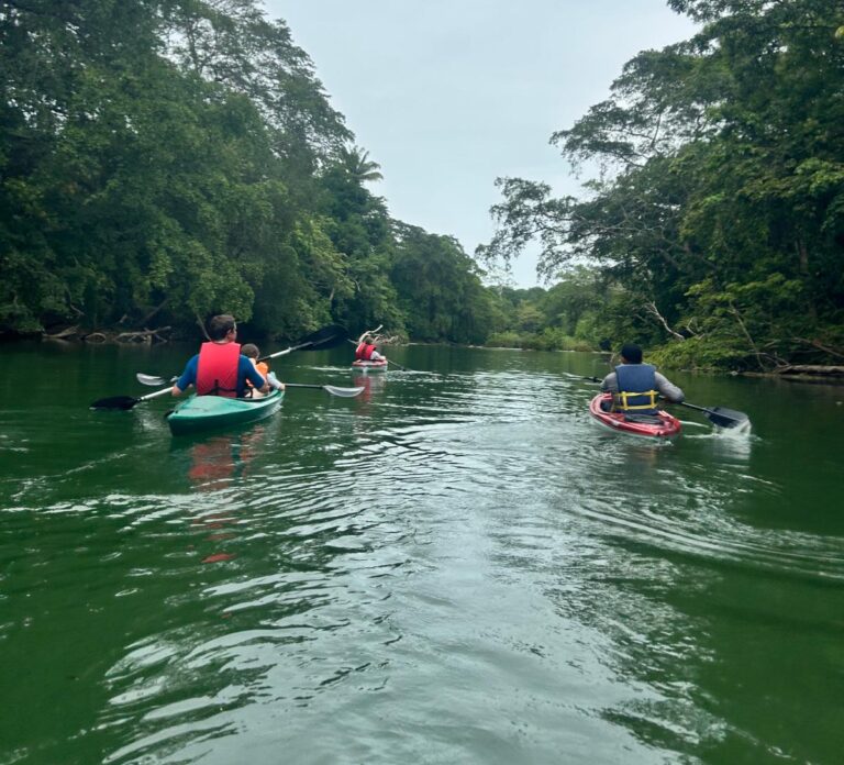 Cayo District August