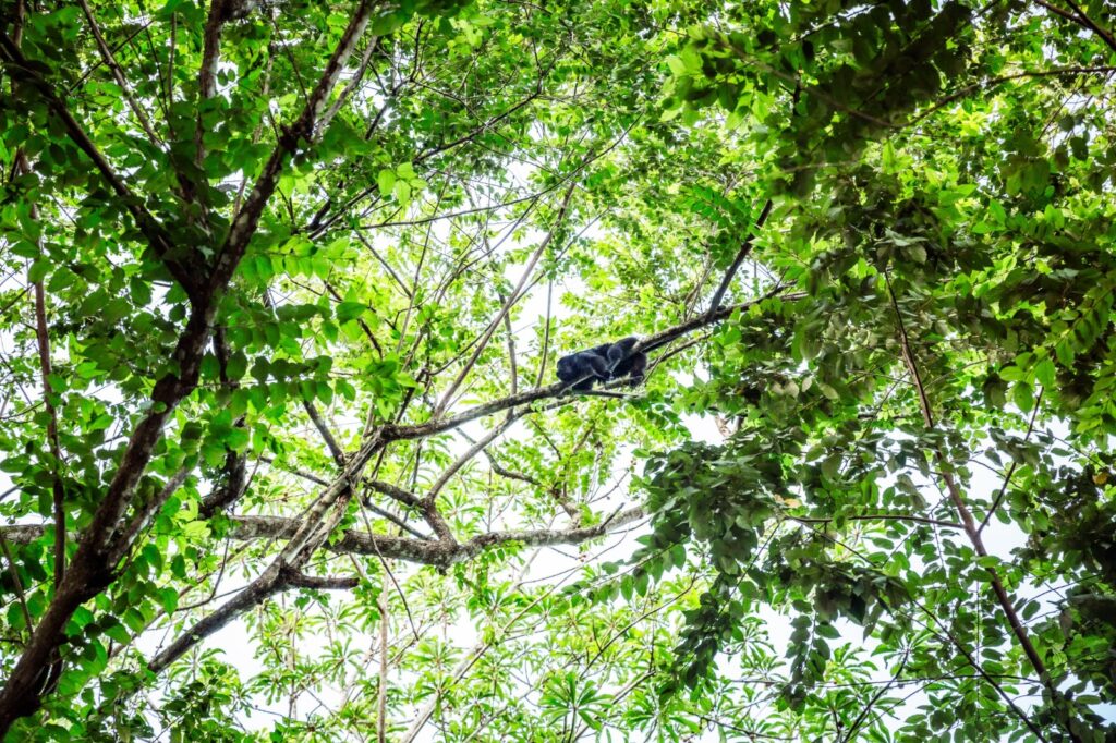 things to do in Belize when it rains